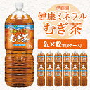 【ふるさと納税】【毎月定期便】伊藤園の健康ミネラルむぎ茶 2L×12本 全6回【配送不可地域：離島・沖縄県】【4014152】