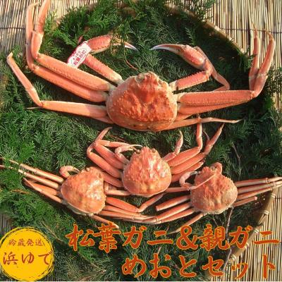 ふるさと納税 湯梨浜町 鳥取県産松葉ガニ&amp;親ガニ◇めおと◇セット〔浜ゆで〕(56MZ.)