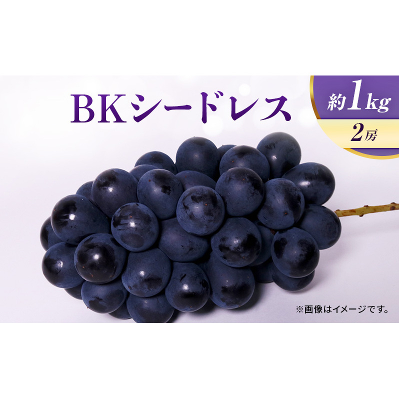 【8月中旬より発送】ぶどう BKシードレス 約1kg 2房 巨峰 マスカットベリーA 糖度20度以上 岩沼市産