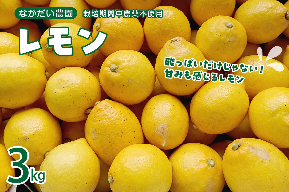 栽培期間中農薬不使用「レモン」約3kg