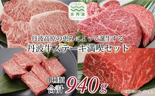 【2026年1月中旬以降発送】 丹波牛ステーキ満喫セット ( 和牛 黒毛和牛 京都 丹波 丹波牛 牛肉 ステーキ A5 サーロイン フィレ ランプ 霜ふり 赤身 赤身肉 ) [069IZ001]