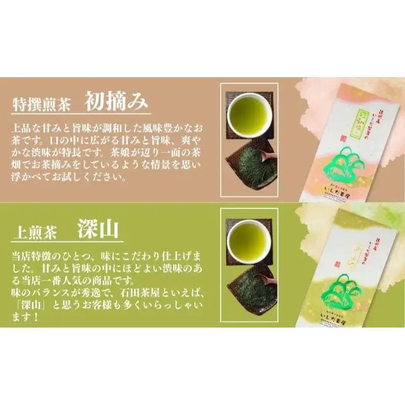 お茶 いしだ茶屋 深蒸し茶 詰め合わせ お茶