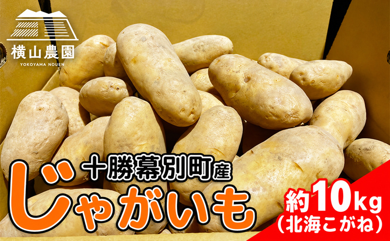 北海道 十勝 幕別産 じゃがいも 北海こがね 約10kg 【横山農園】 野菜 根菜 フライドポテト ポテトチップス 変色しにくい 煮崩れしにくい 黄金色 北海道のジャガイモ 