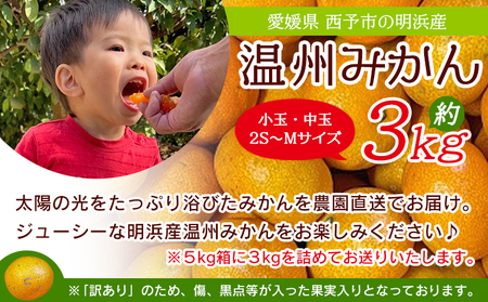 ＜訳あり 温州みかん 約3kg＞ 小玉 中玉 明浜産 果物 フルーツ 蜜柑 うんしゅうみかん ウンシュウミカン 柑橘 家庭用 浜のみかん屋 直送 愛媛県 西予市【常温】『2025年11月上旬～2026