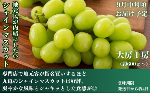 フルーツ 定期便 4回　旬に出逢う城下町の果実 定期配送 いちご 桃 シャインマスカット みかん ぶどう 果実 果物 フルーツ 旬のフルーツ フルーツギフト フルーツ定期 フルーツ定期便 果物定期 果