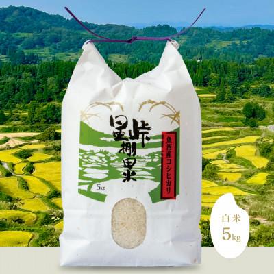 ふるさと納税 十日町市 絶景の棚田を未来へ!食べて応援する「星峠棚田米」5kg(精米)越後まつだい 魚沼産コシヒカリ