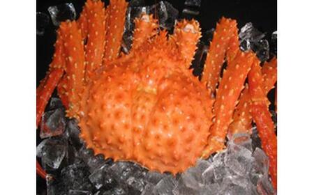 知床イバラがに 姿(大) いばらがに かに カニ 蟹  羅臼町 北海道産 海産物 生産者 支援 応援