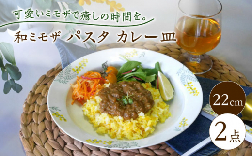 【波佐見焼】和ミモザ 22cm パスタ・カレー皿 2枚セット【和山】 [WB152]
