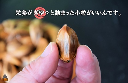 ～こだわりの小粒が魅力！～徳之島産黒ニンニク(100g) ( にんにく 健康食品 黒にんにく 自家栽培 徳之島 奄美 世界自然遺産 野菜 こだわり 完熟肥料 安心 安全 長寿 デコチャン農園 甘み フ