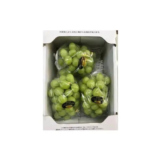 シャインマスカット 約2kg 3～4房 岡山県新見市 大原観光果樹園 【先行予約 2026年9月中旬から順次発送】