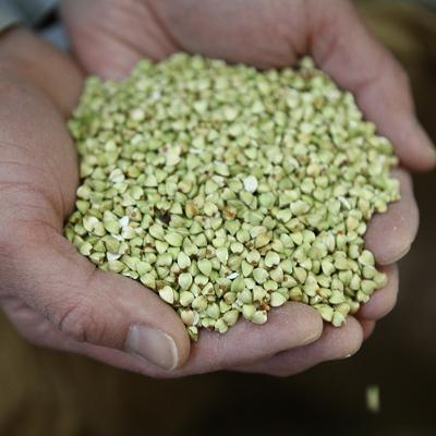 ふるさと納税 小諸市 国内産そばの実 　1kg×2袋　そばの実料理レシピ付き　 |  | 02
