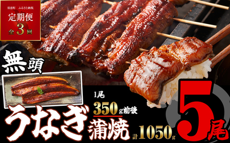 うなぎ蒲焼 無頭 5尾 定期便 3回 | うなぎ蒲焼