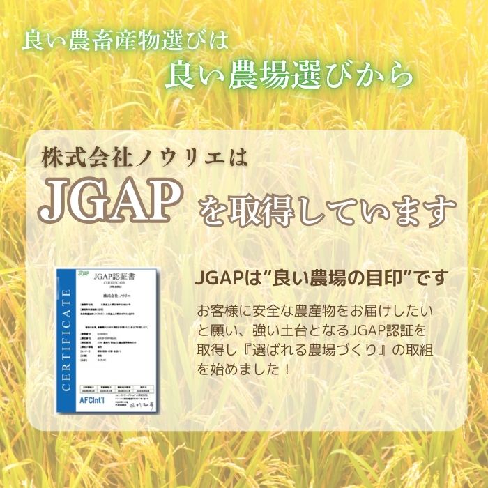 【令和8年産 新米受付】 ななつぼし 精米 10kg【農業生産法人ノウリエ】米 お米 北海道産 北海道米 特Aランク 国産 白米 コメ 北海道 比布町 ぴっぷ 1017-025