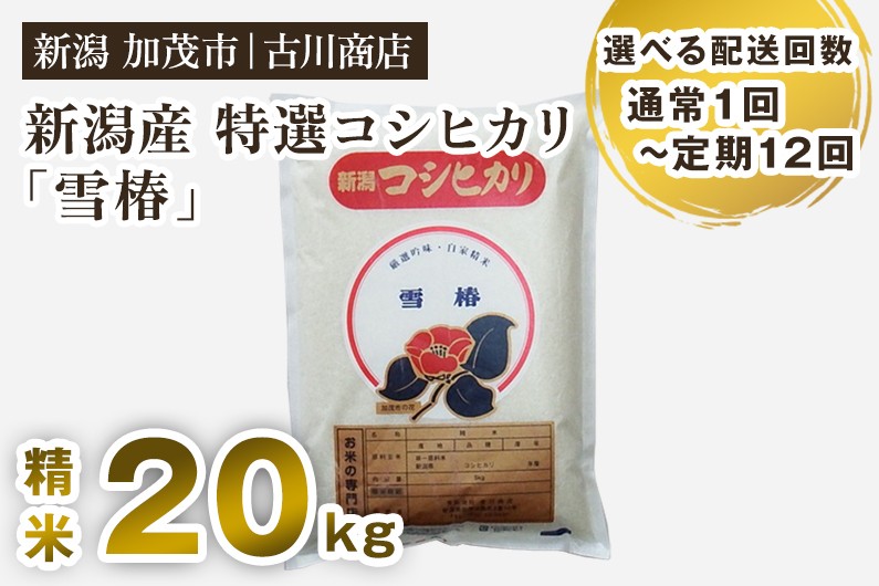 
                  【令和7年産】【選べる配送回数】新潟県産 特選コシヒカリ「雪椿」精米 20kg 定期便 隔月便 《順次発送》 白米 加茂市 お米の専門店 古川商店
                