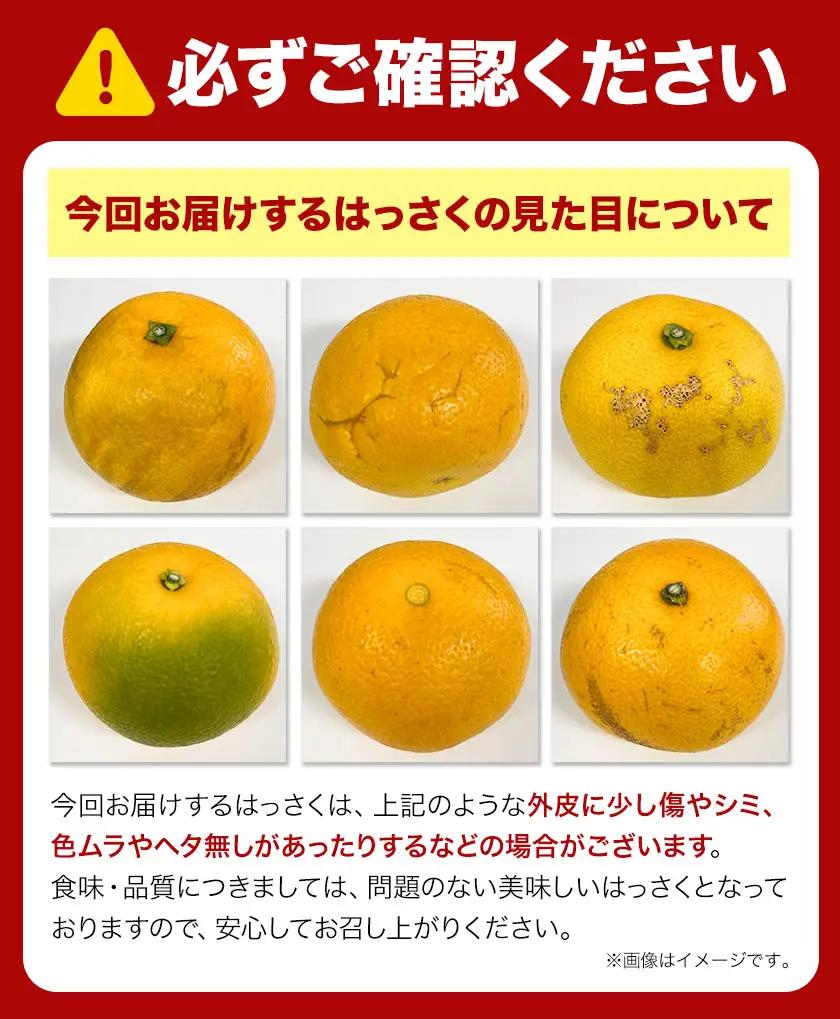 八朔 はっさく 訳あり サイズ不選別 おすそ分け 計8kg(4kg×2箱)