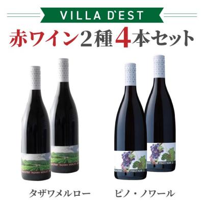 ふるさと納税 東御市 赤ワイン 750ml 2種4本 セット(タザワ メルロー&amp;ピノ・ノワール)