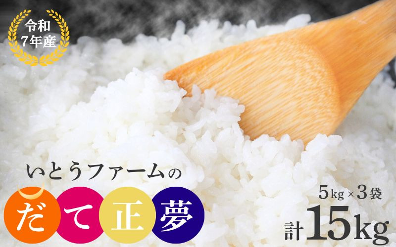 【宮城米の夢をかなえた極良食味品種】いとうファームの令和7年産「だて正夢」15kg（5kg×3袋） / 米 お米 精米 白米 ご飯 産地直送 【itofarm010】 