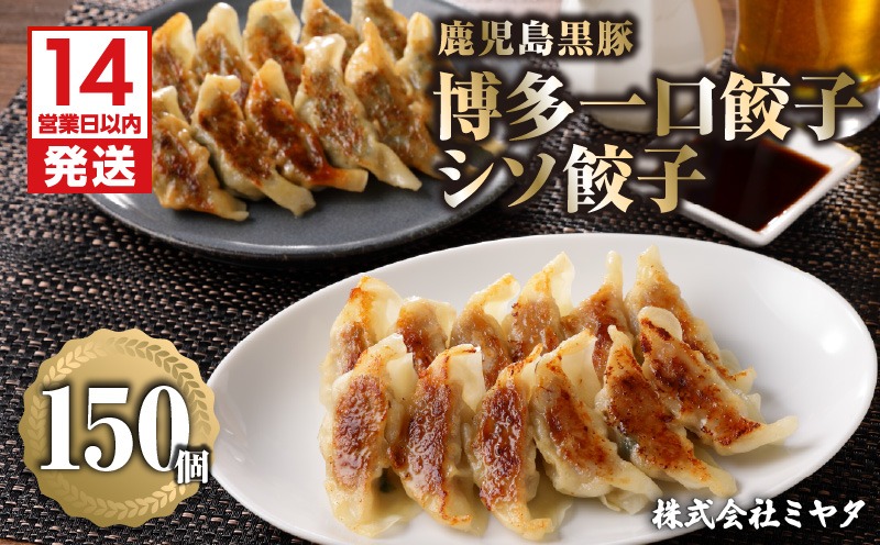鹿児島黒豚博多一口餃子・シソ餃子　150個　K025-004