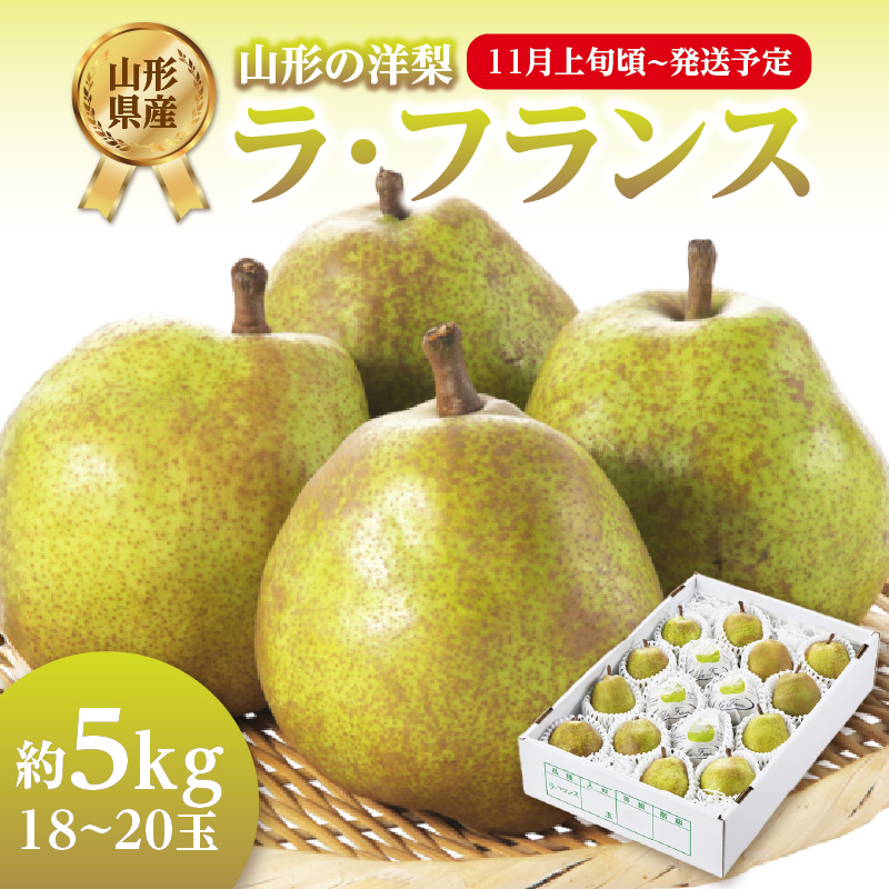 《先行受付》ラ・フランス 約5kg（18～20玉）【2025年11月上旬頃～発送予定】【山形洋梨】