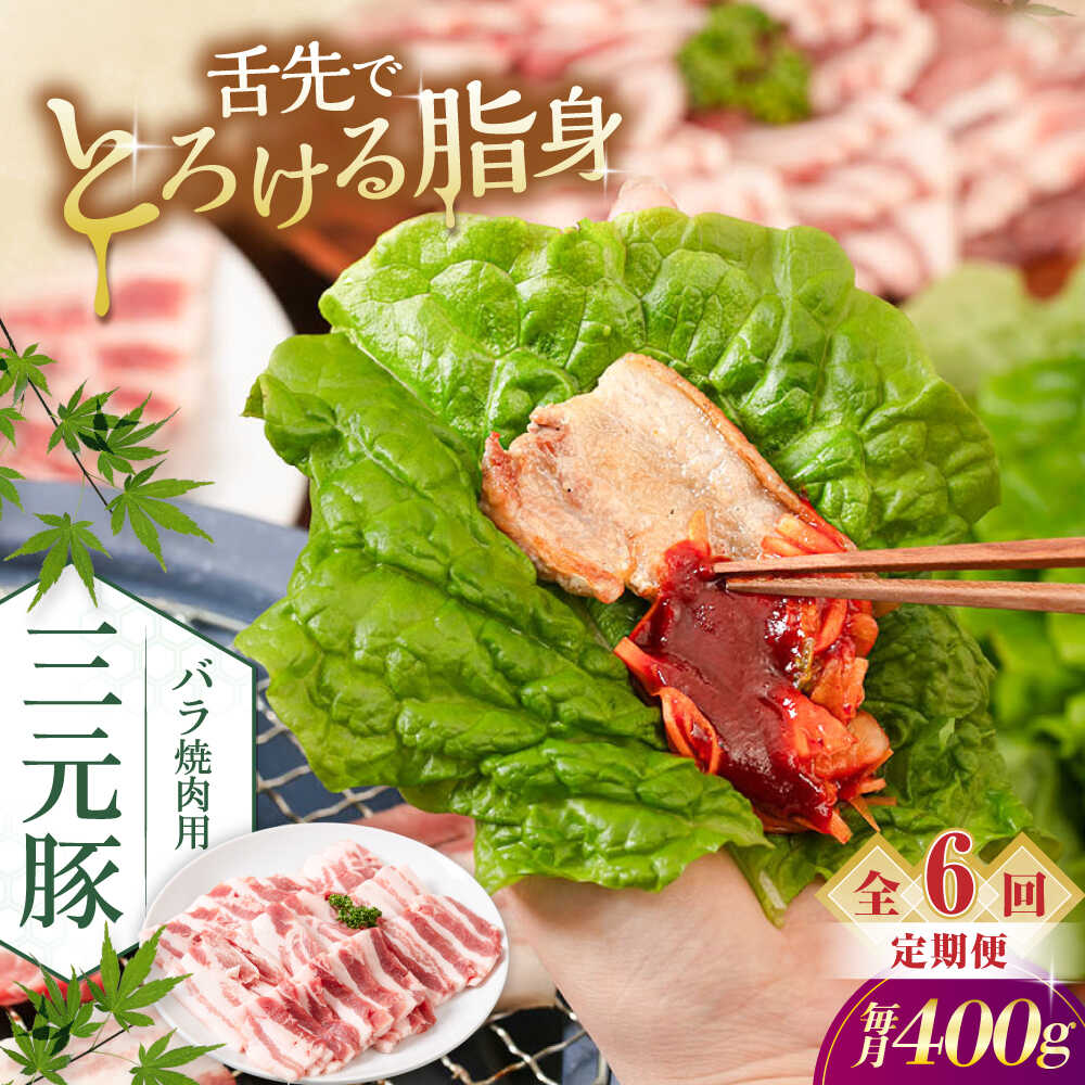 【ふるさと納税】【全6回定期便】三元豚 バラ 焼肉用 400g (200g×2P)《喜茂別町》【平田牧場】 肉 豚肉 豚バラ バラ カルビ 焼肉 スライス 冷凍配送 定期便 北海道 平田牧場 [AJAP157] 84000 84000円