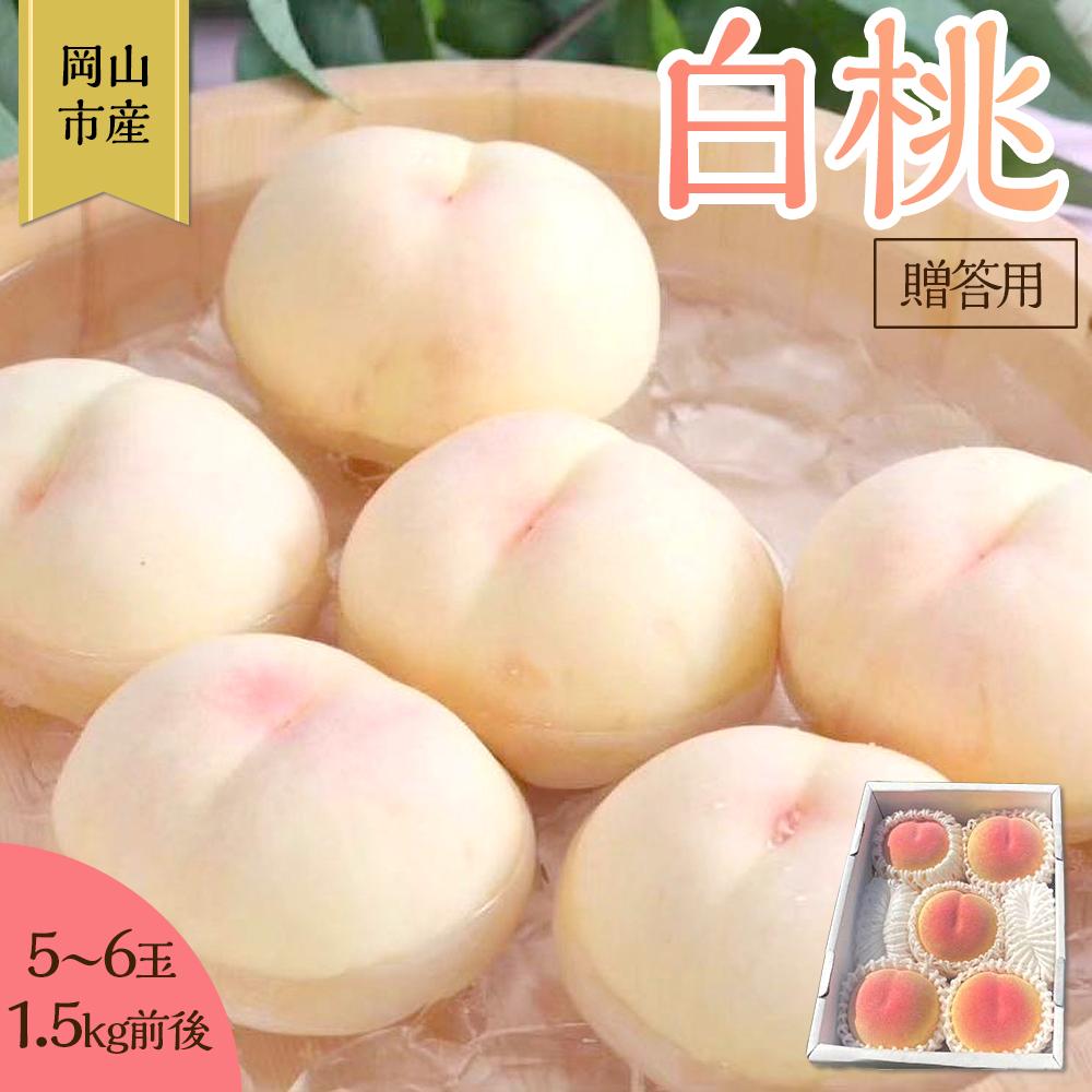 【ふるさと納税】桃 2026年 贈答用 岡山 白桃 5玉～6玉 1.5kg 前後 もも 岡山県産 国産 フルーツ 果物 ギフト 雅桃園 | もも フルーツ 果物 くだもの 食品 人気 おすすめ 送料無料