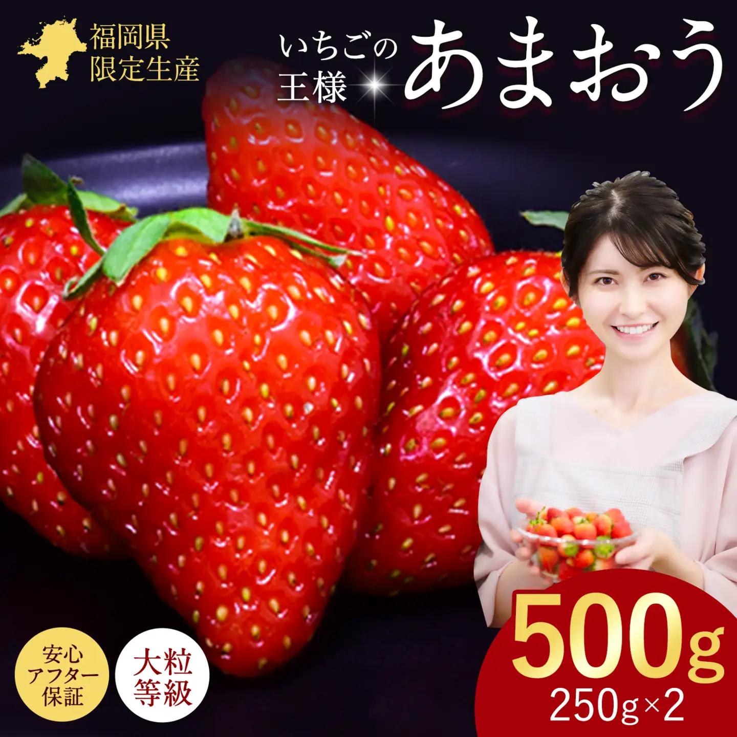あまおう いちご 500g (2パック) あまおう いちご　《2027年2月中旬-3月中旬頃出荷》【配送不可地域：離島】