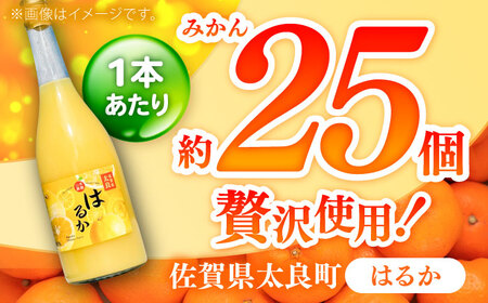 そのまんま はるかジュース 720ml×2本 みかんジュース / 佐賀県 / 山本農園 [41ATBT015]