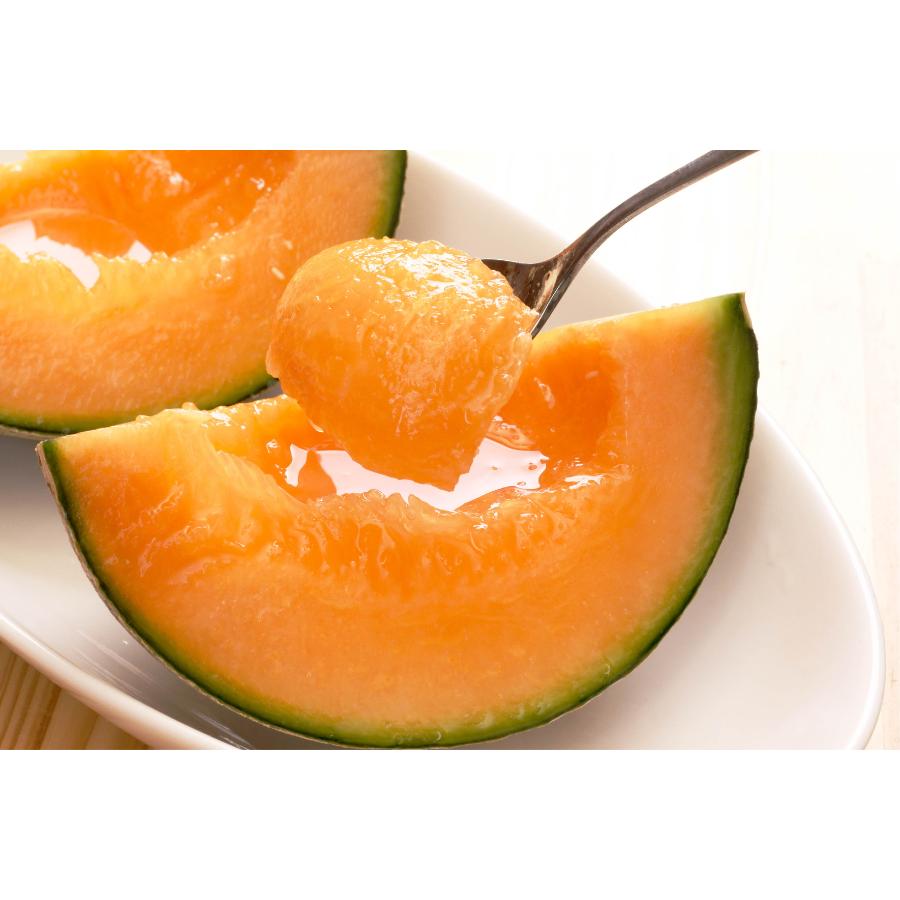 ＜長洲農園＞品質優良賞受賞 茨城県産 クインシーメロン 特秀 贈答規格 1玉