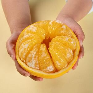 甘夏6kg（大小混合）《秀品》和歌山県より農園直送！まごころ産直みかん【北海道・沖縄県・一部離島 配送不可】サンフルーツ 新甘夏 田ノ浦オレンジ あまなつ みかん