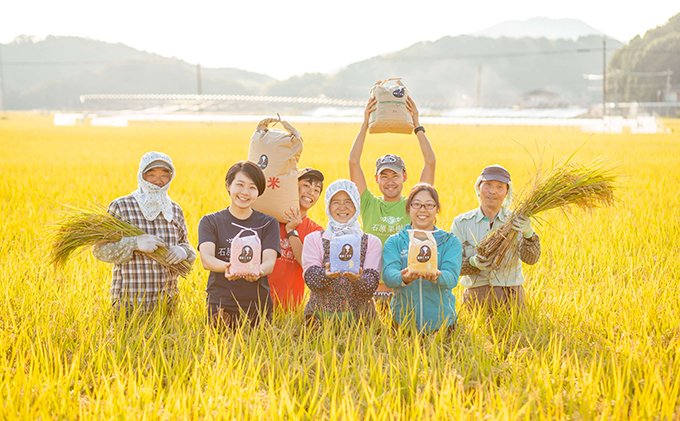 米 備前乙女米 白米 10kg（10kg×1袋）※11月上旬～順次発送予定 岡山県産 石原果樹園