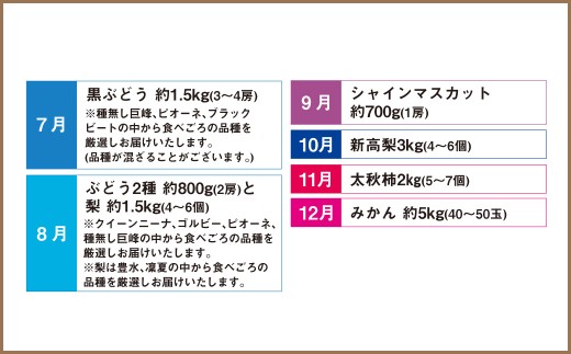 【12ヶ月定期便】熊本フルーツ定期便12カ月