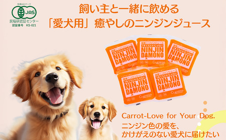 【12ヵ月定期便】飼い主と一緒に飲める「愛犬用」癒やしのニンジンジュース 100g×30個【 茨城県 つくば市 定期便 ジュース ドリンク 飲料 水分補給 にんじん 人参 ニンジン 人参ジュース にん