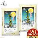【ふるさと納税】【期間限定発送】 米 令和6年 つきあかり 精米 10kg ×2袋 計 20kg [中橋商事 石川県 宝達志水町 38600967] お米 コメ 白米 ごはん 美味しい 石川 レビューキャンペーン