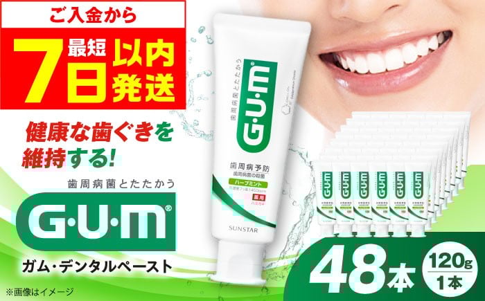 
            【最短7日以内発送】GUM デンタルペースト(ST) 120g×48本 歯磨き はみがき ハミガキ 歯磨き粉 歯みがき粉 歯ブラシ ハブラシ 薬用 医薬部外品 歯周病 虫歯 口臭 矯正 大容量 人気 定番 おすすめ 大阪府高槻市/サンスター[AOAD011]
          