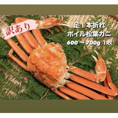 ふるさと納税 伯耆町 【11月中旬以降順次発送】訳あり足1本折れボイル松葉ガニ(600〜700gを1枚)　OM-31