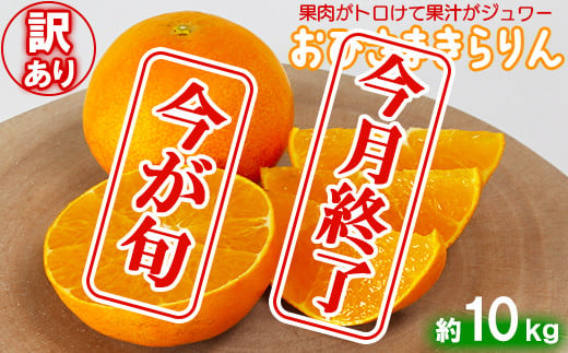 【訳あり・優品】今村農園の「おひさまきらりん 約10kg」 甘い オレンジ みかん ミカン 清美 12月発送 1月発送 先行予約 10kg わけあり 柑橘類 フルーツ ＜107-021_5＞