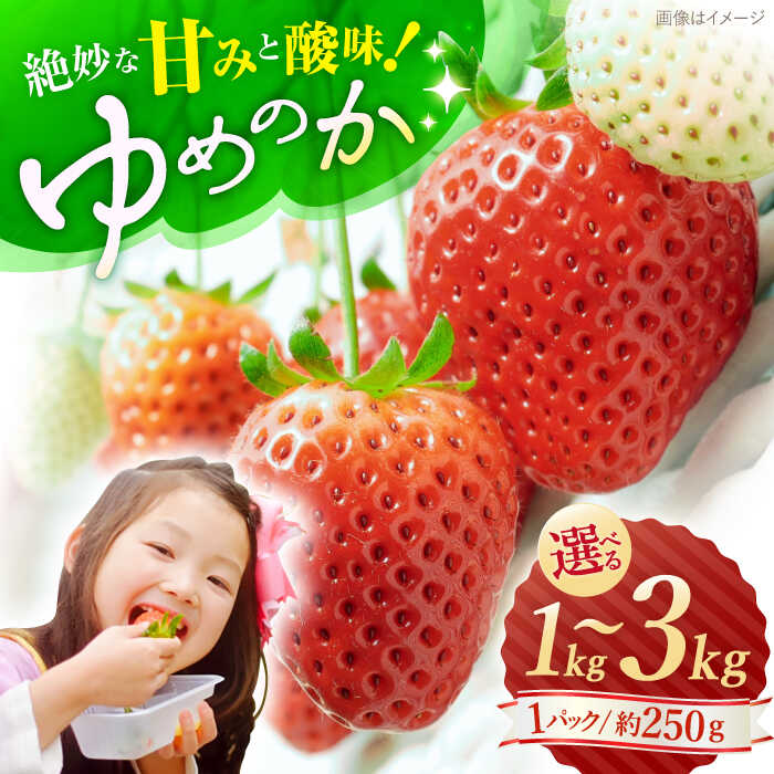 【ふるさと納税】【1月より順次発送】【先行予約】 ゆめのか いちご 1kg~3kg ＜川原農園＞ [CDR010] いちご イチゴ 苺 果物 フルーツ 甘い 1kg 2kg ご家庭用
