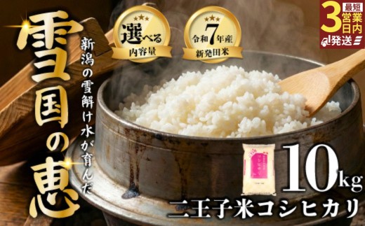 令和7年産 新潟県産 コシヒカリ 10kg 5kg×2袋 数量限定 特別栽培米 二王子米 新潟産 新潟米 新発田産 新発田 お米 米 kome 白米 ご飯 こめ ごはん ライス ふるさと納税米 コシヒカリ お弁当 食品 せいだ とんとん市場 ブランド米 人気米 玄米 新潟県 新発田市 とんとん市場のお米 seida003_02