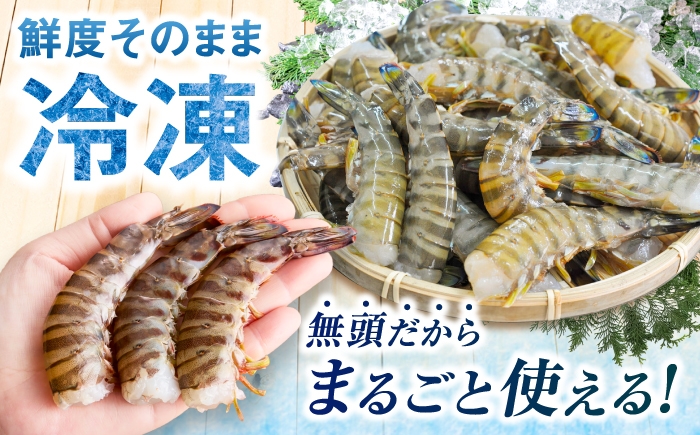 海鮮 車エビ 海老 エビ えび 小分け エビフライ