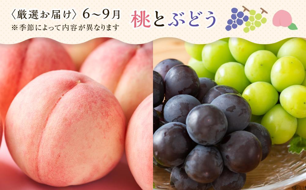 【お歳暮ギフト/熨斗対応】創業130余年！老舗果物店が見極めた、厳選フルーツ詰合せ♪大満足セット （5～8品種）