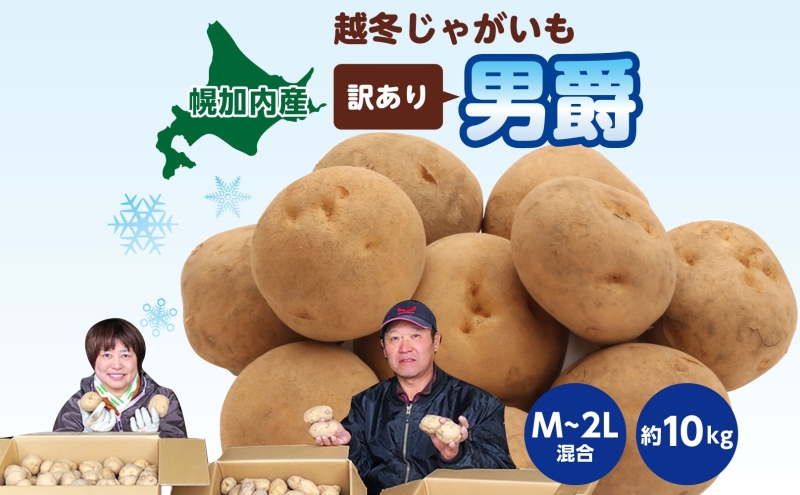 北海道産 訳あり 越冬 じゃがいも 男爵 M～2L 約10kg ジャガイ