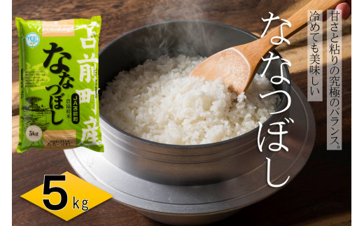 【令和7年産・新米先行受付】北海道とままえ産ななつぼし　5kg
