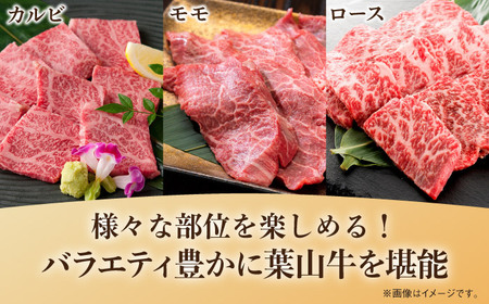 【全3回定期便】葉山牛500g　焼肉用ミックス 牛肉（ロース、モモ、カルビ等 ） 食べ比べ[ASBD028]