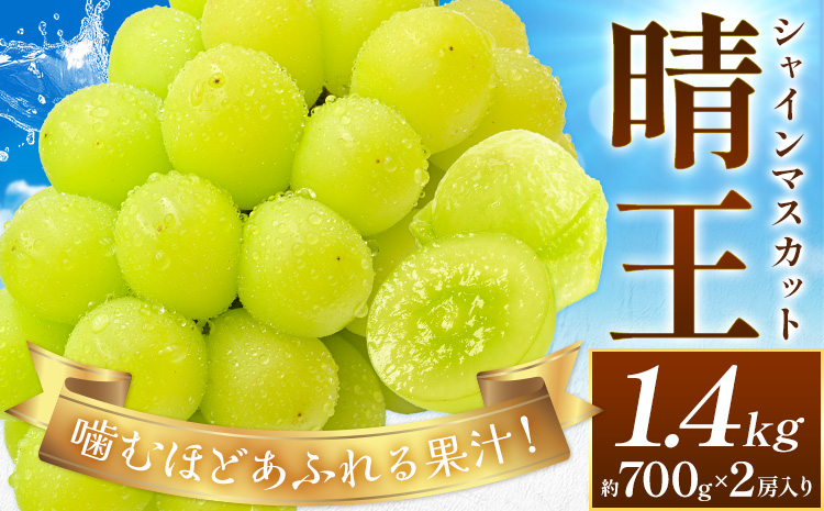 【2026年先行予約】ぶどう シャインマスカット 晴王 約1.4kg (約700g×2房入り) 満天フルーツ《2026年9月上旬-10月末頃出荷》岡山県 浅口市 送料無料 マスカット フルーツ 果物 お取り寄せフルーツ 贈り物 ギフト 国産 岡山県産【配送不可地域あり】
