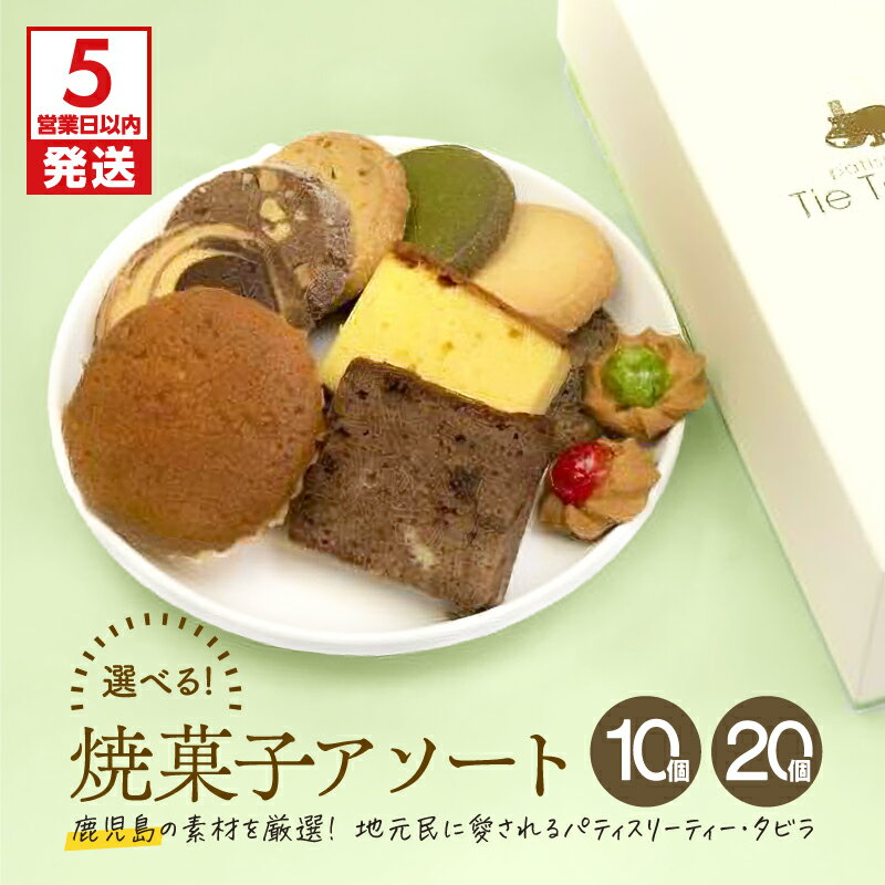 【ふるさと納税】【5営業日以内に発送】＜選べる＞ 焼菓子 アソート 10個 or 20個 詰合せ スイーツ マドレーヌ はちみつ チョコ バター クッキー お菓子 焼菓子 セット おやつ パティスリーティータビラ 鹿児島市 おすすめ ランキング プレゼント ギフト
