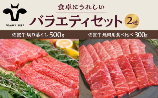 【牧場直送】佐賀牛 食卓にうれしいバラエティ セット（切り落とし 500g＆焼肉用食べ比べ 300g）【有限会社佐賀セントラル牧場】 [IAH204]