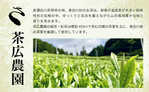 煎茶ティーバッグ ゆず  8個  東白川村産 岐阜県産 柚子 煎茶 抹茶 ティーバッグ お茶 日本茶 ティーバック ティーパック ホット アイス おためし