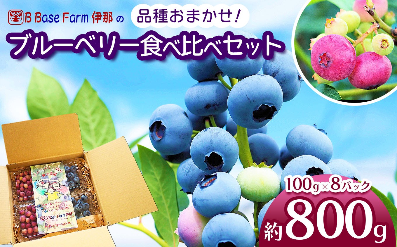 
                  ブルーベリー食べ比べ　品種お任せ　100g×8パック【014-57】 | ブルーベリー フルーツ 国産ブルーベリー 果物 完熟 大粒 甘い 新鮮 食べ比べ 品種豊富 長野県産 長野県 信州 伊那市
                