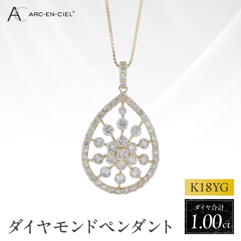 【ふるさと納税】ダイヤモンド ペンダント アルカンシェル K18YG 計 1.00ct 18金 イエローゴールド しずく型 カーブ なめらか 煌めき 透け感 繊細 ネックレス ゴージャス 宝石 ジュエリー プレゼント用 アクセサリー レディース 大阪府 泉佐野市 送料無料