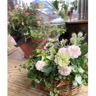 ふるさと納税 上峰町 季節の寄せ植え　ブリコラージュフラワー |  | 01
